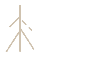 logo Radici - Natura Territorio Comunità